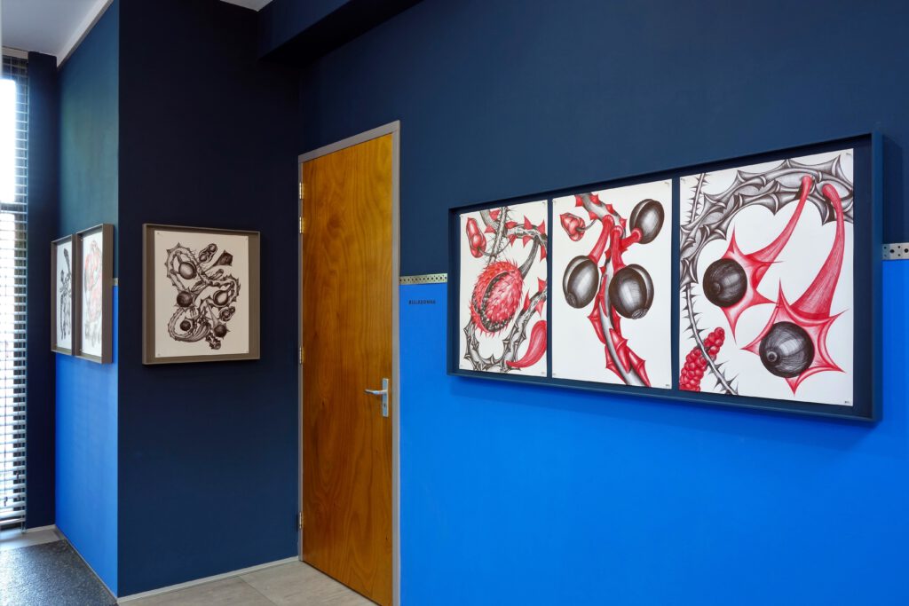 9 BELLA DONNA B 2019